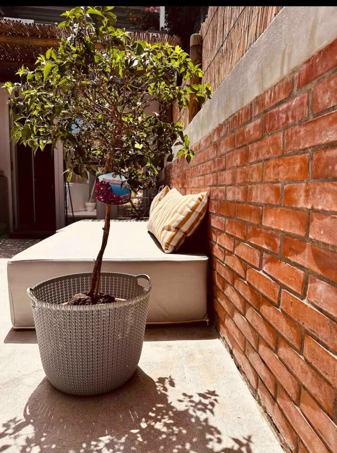 Casa Capri Mores Ngoại thất bức ảnh